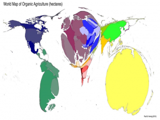Nông nghiệp hữu cơ: Xu thế toàn cầu và ở Việt Nam